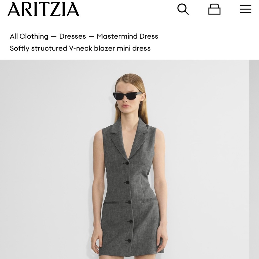 Aritzia Gray Mastermind Dress
